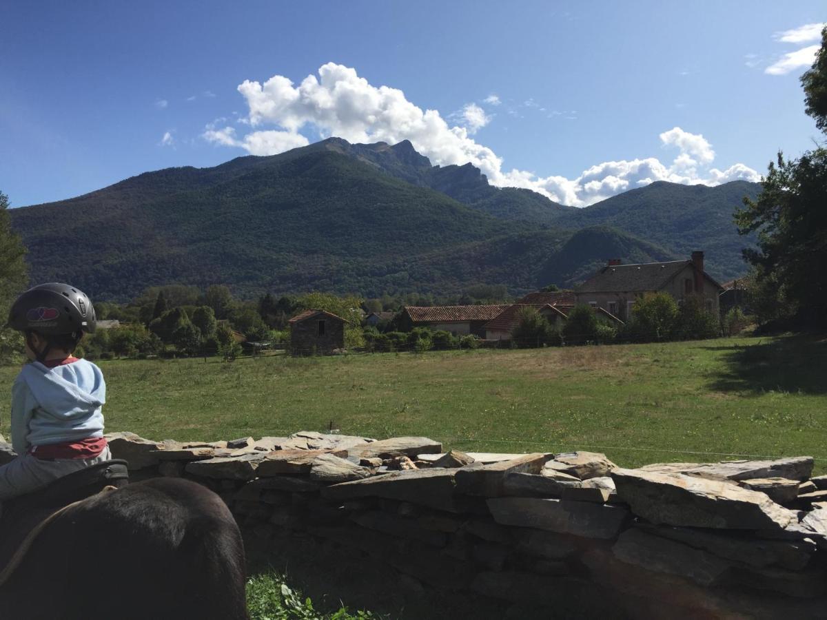 Maison De Marius Et Maison D Amelie Estenos Esterno foto
